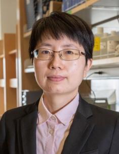 Rutgers professor Pingping Hou